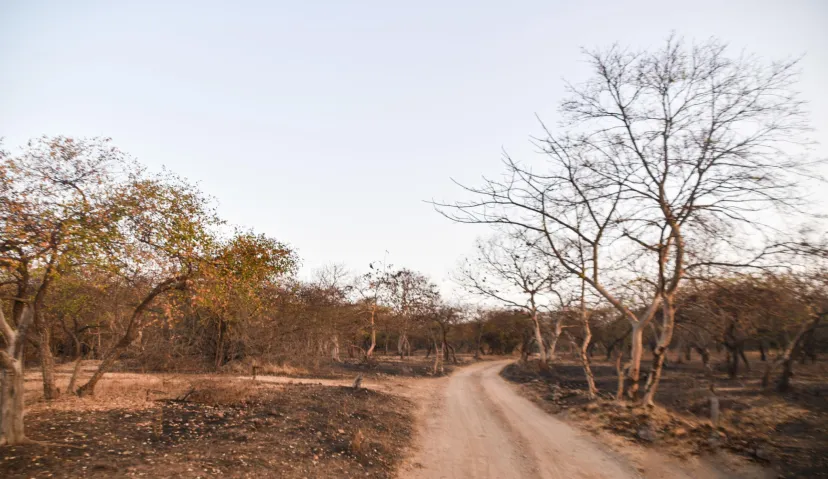 Saurashtra Tour Package – Divine &amp; Heritage Tour of Gujarat 6 Days / 5 Nights 3