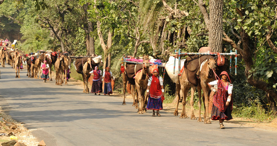 car rental in Modasa
